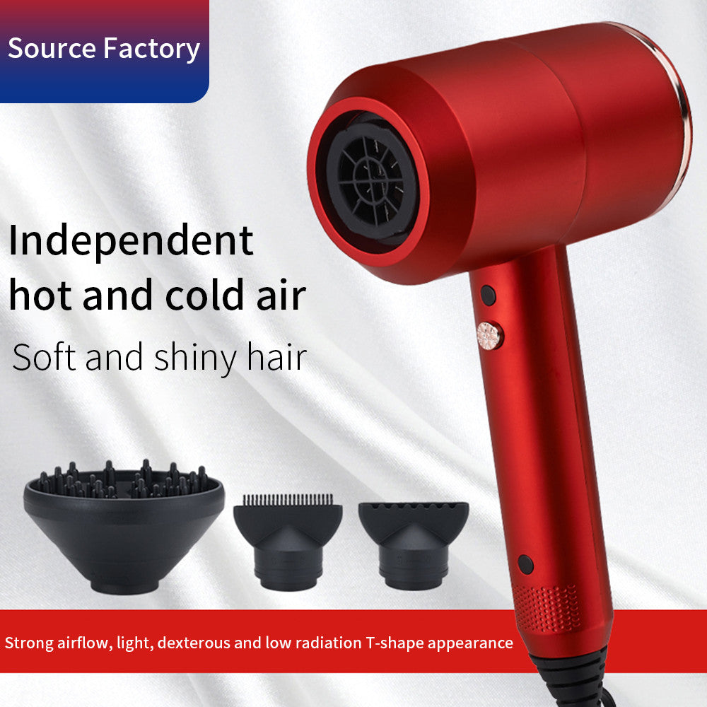 Professional Ionic Hairdryer with 2 Speed 3 Heat Setting, Cool Shot Button, 1 Diffuser & 2 Concentrator
